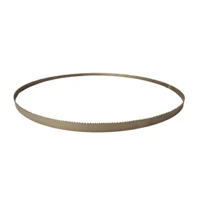 Zaagband 10-14 TPI tbv Bandzaag 7 x 9" Spitznas 9 2506 0350